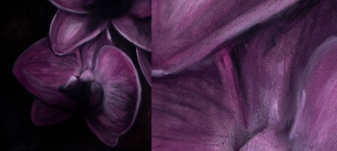 Pastel Orchid Drawing